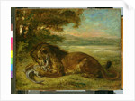 Lion and Alligator, 1863 by Ferdinand Victor Eugene Delacroix