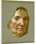 Magdalena Dorothea Runge, Mother of the Artist, 1806 by Philipp Otto Runge
