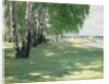 The Garden of the Artist in Wannsee, 1918 by Max Liebermann