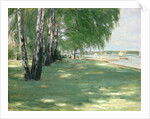 The Garden of the Artist in Wannsee, 1918 by Max Liebermann