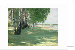 The Garden of the Artist in Wannsee, 1918 by Max Liebermann