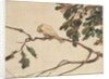 Canary on an Oak Tree Branch by Adolph Friedrich Erdmann von Menzel