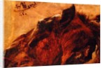 Head of a Dead Horse, 1848 by Adolph Friedrich Erdmann von Menzel