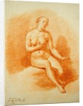 Female Nude, 1660 by Adriaen van de Velde