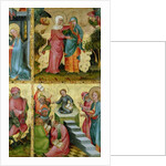 The Visitation and the Dispute with Doctors by Master Bertram of Minden