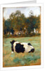 A Cow in the Meadow by Thomas Ludwig Herbst