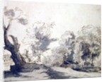 Landscape by Rembrandt Harmensz. van Rijn