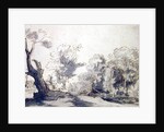 Landscape by Rembrandt Harmensz. van Rijn