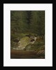 The Evergreens by the Waterfall by Caspar David Friedrich