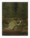 The Evergreens by the Waterfall by Caspar David Friedrich