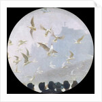 Seagulls over the Alster, c.1905 by Julius August Friedrich Theodor von Ehren