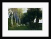 Sacred Grove, 1886 by Arnold Bocklin