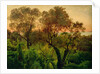 Slope with Olive Trees by Louis Gurlitt