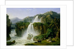The Waterfall at Tivoli, 1785 by Jacob-Philippe Hackert