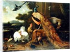 Revolt in the Poultry Coup by Melchior de Hondecoeter