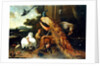 Revolt in the Poultry Coup by Melchior de Hondecoeter