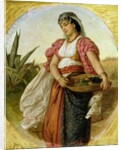 A Woman from Algiers, 1871 by John Evan Hodgson