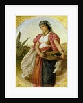 A Woman from Algiers, 1871 by John Evan Hodgson