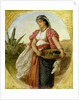 A Woman from Algiers, 1871 by John Evan Hodgson