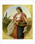 A Woman from Algiers, 1871 by John Evan Hodgson
