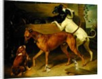 Kruger's Dogs, 1855 by Franz Kruger
