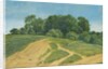 A Track Across the Fields by Wilhelm Alexander Kobell