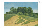 A Track Across the Fields by Wilhelm Alexander Kobell