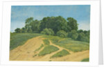 A Track Across the Fields by Wilhelm Alexander Kobell