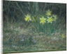 Narcissi and Violets, c.1867 by Jean-Francois Millet