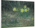 Narcissi and Violets, c.1867 by Jean-Francois Millet