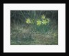 Narcissi and Violets, c.1867 by Jean-Francois Millet
