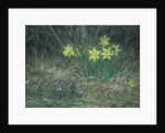 Narcissi and Violets, c.1867 by Jean-Francois Millet