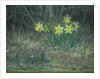 Narcissi and Violets, c.1867 by Jean-Francois Millet