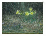 Narcissi and Violets, c.1867 by Jean-Francois Millet