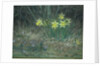 Narcissi and Violets, c.1867 by Jean-Francois Millet