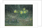 Narcissi and Violets, c.1867 by Jean-Francois Millet