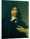 Portrait of a Man, c.1655 by Govaert Flinck