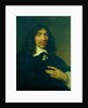 Portrait of a Man, c.1655 by Govaert Flinck