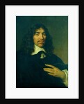Portrait of a Man, c.1655 by Govaert Flinck