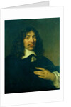 Portrait of a Man, c.1655 by Govaert Flinck