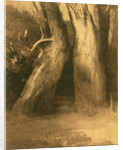 Two Trees, c.1875 by Odilon Redon