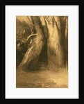 Two Trees, c.1875 by Odilon Redon