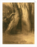 Two Trees, c.1875 by Odilon Redon