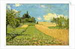 The Cornfield by Alfred Sisley
