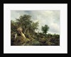 Landscape with a Hut, 1646 by Jacob Isaaksz. or Isaacksz. van Ruisdael