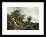 Landscape with a Hut, 1646 by Jacob Isaaksz. or Isaacksz. van Ruisdael