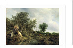 Landscape with a Hut, 1646 by Jacob Isaaksz. or Isaacksz. van Ruisdael