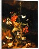 Flower Study by Otto Marseus van Schrieck