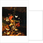 Flower Study by Otto Marseus van Schrieck