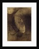 Cellular Face, 1895 by Odilon Redon